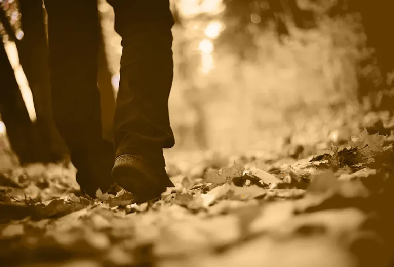 The Christian Journey