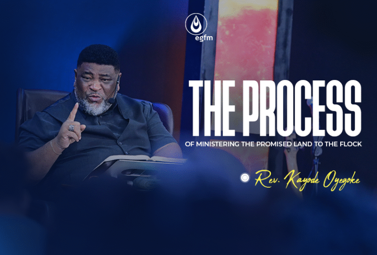 The Process of Ministering the Promised Land to the Flock