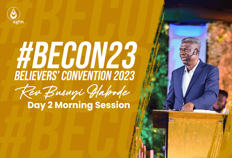 Understanding the Heavenly Vision as a Minister